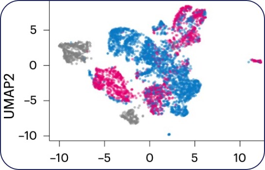 Single Cell RNASeq Graph