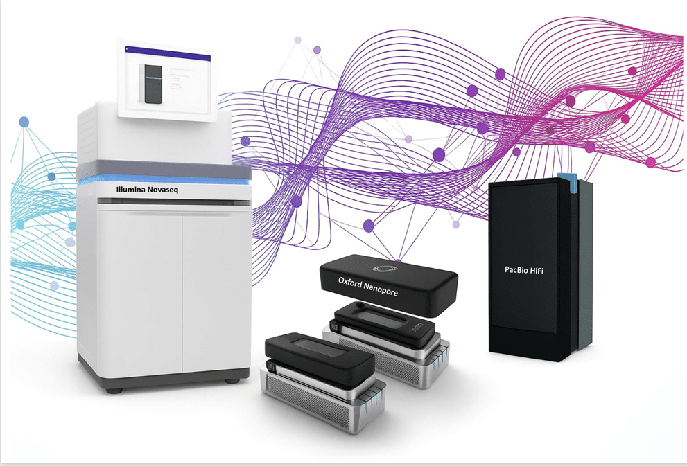 image 09 15 2025 08 07 PM